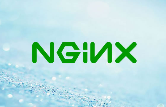Nginx配置反向代理访问内部服务